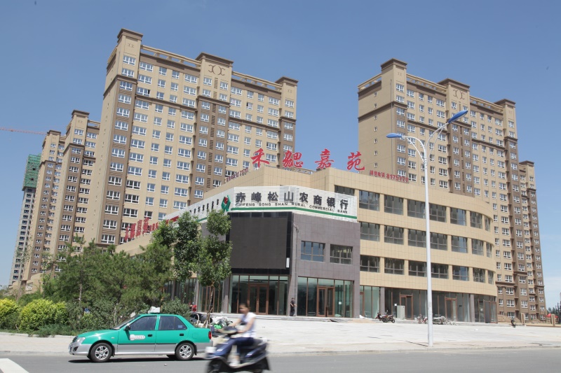 成功案例